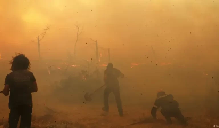 Bomberos luchan contra incendios forestales en Grecia