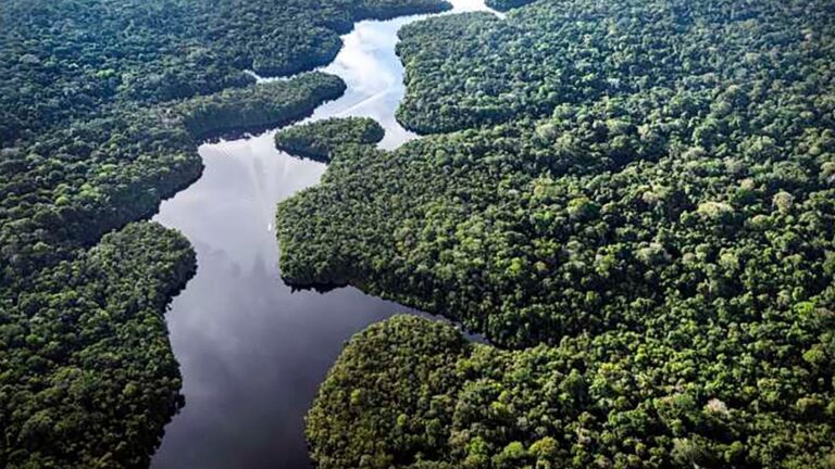 América Latina desprotegida en sus derechos ambientales