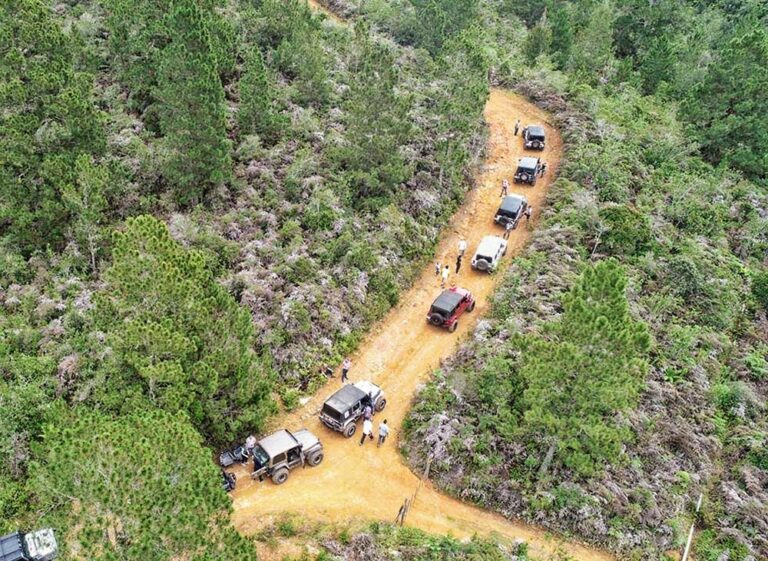 Convocan protestas por construcción carretera Padre Las Casas-Constanza, escuelas y centros salud