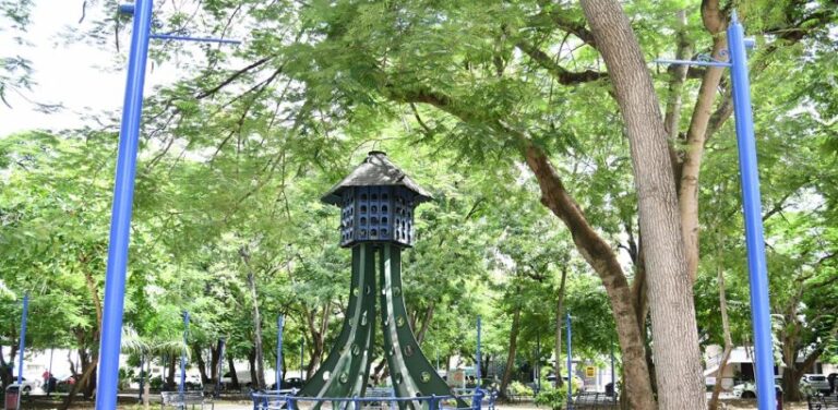 Garantizan la protección de las áreas verdes en la intervención del Centro Olímpico Juan Pablo Duarte