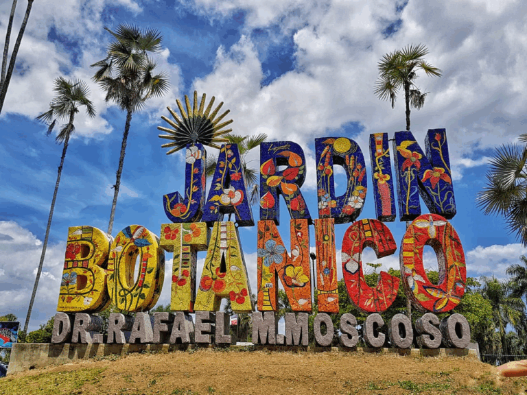 Gobierno analiza posible impacto de obra vial en terrenos cercanos al Jardín Botánico