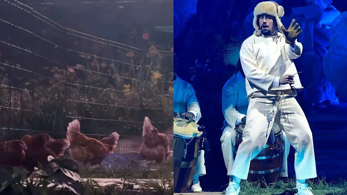 Denuncian a Bad Bunny por utilizar animales vivos en sus conciertos en Puerto Rico
