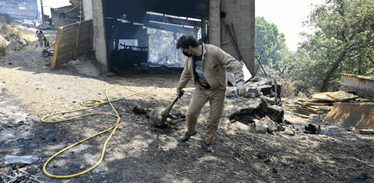 Los incendios y el calor consumen el sur de Europa