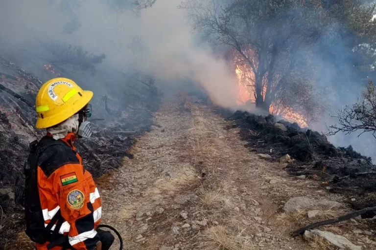 El Gobierno de Bolivia declara la «emergencia nacional» por tres incendios forestales