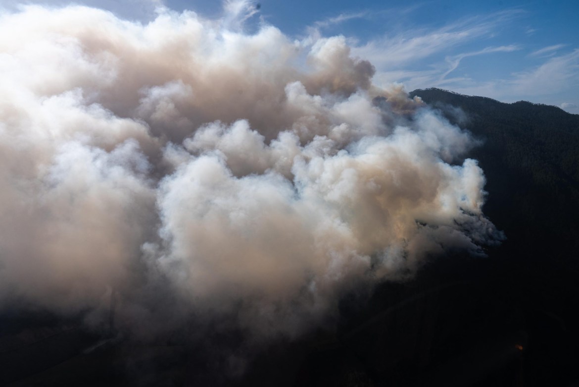 Bomberos combaten incendio en Loma del Oro