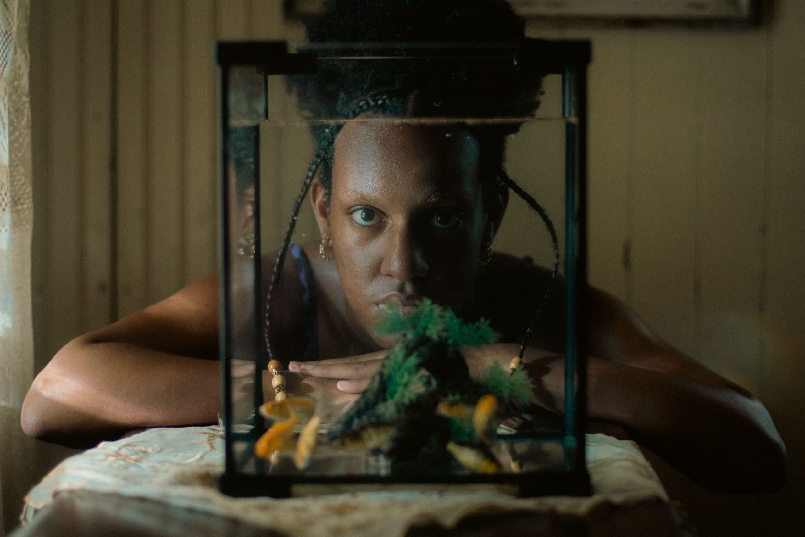 “Sugar Island” triunfa en festivales internacionales con cuatro prestigiosos premios