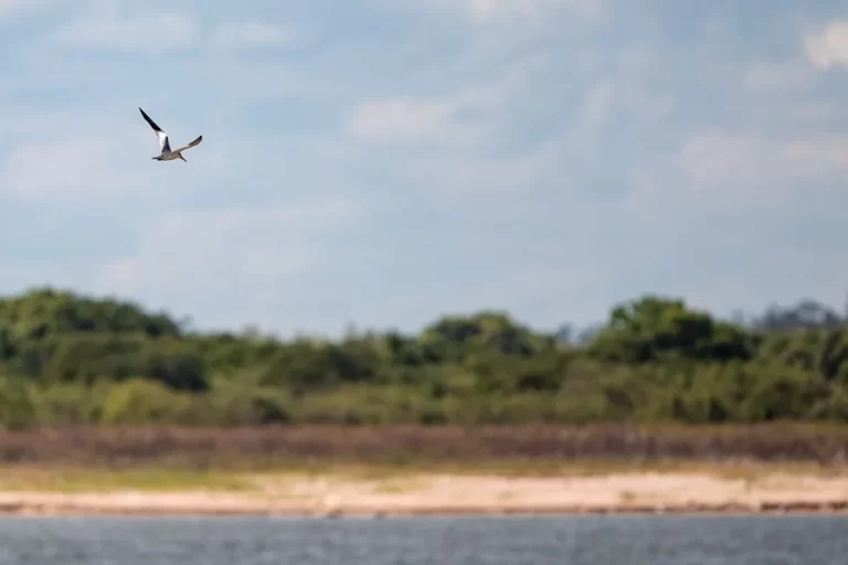 Paraguay quiere dejar de ser el «secreto mejor guardado» de Suramérica