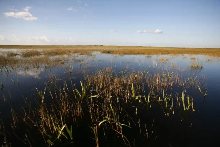 Santuario Natural Bajo Amenaza de Construcción