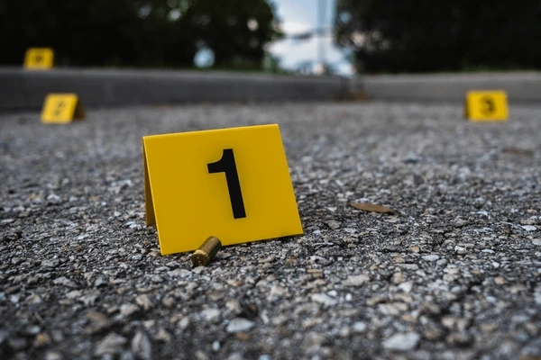 Asesinan a Fiordaliza Mena en San Francisco de Macorís