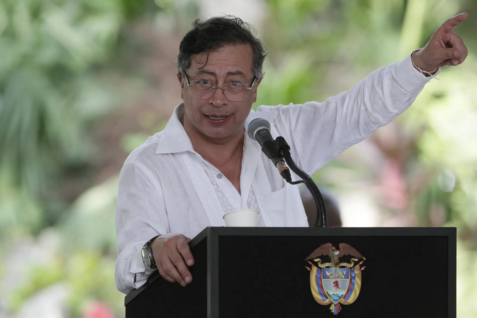 Perú y Colombia en la Amazonía
