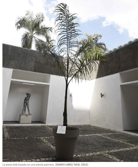 Jurados defienden premio a la obra “Lo que no se saca de raíz, vuelve a crecer” en la Bienal