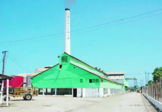 Alertan por irregularidades en el ingenio Porvenir: Informe advierte faltante de azúcar, melaza y pérdidas millonarias