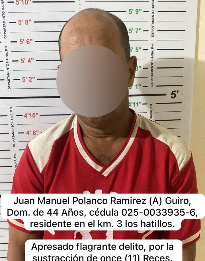 PN en Hato Mayor apresa presunto cuatrero con 11 reses robadas