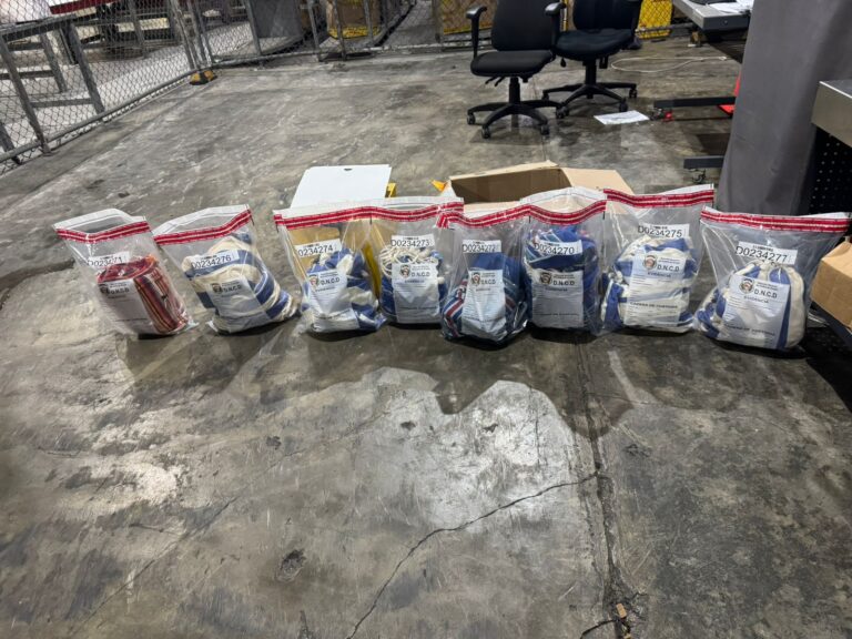Incautadas nueve hamacas impregnadas de cocaína en Aeropuerto Las Américas