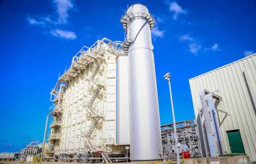 Limpieza de sargazo permite reactivación de planta AES Andrés en Boca Chica