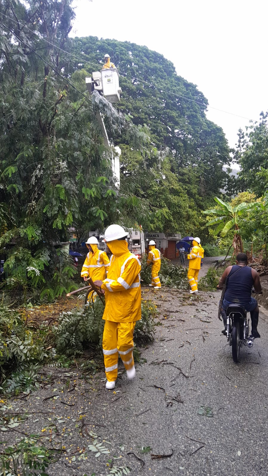 La red eléctrica desafía la tormenta Melissa y mantiene estabilidad récord