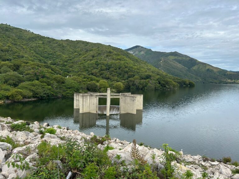 COPRE informa que operación de hidroeléctricas ha permitido regular niveles de embalses