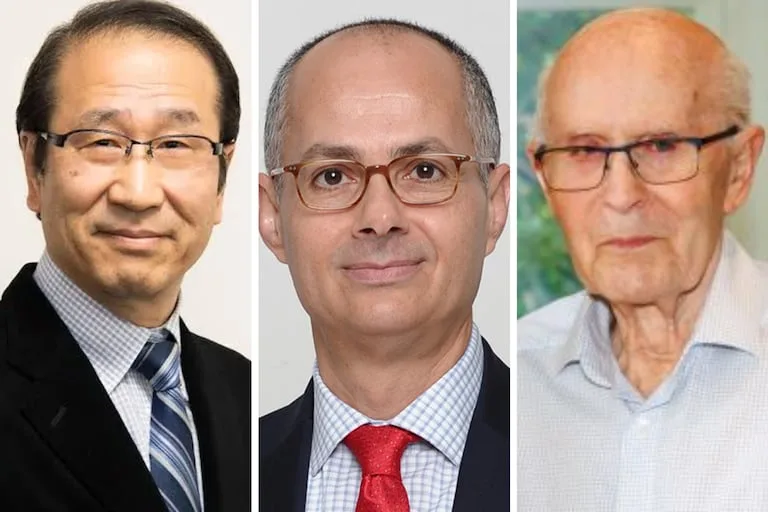 Tres científicos reciben Nobel de Química por innovadores materiales que capturan agua y contaminantes