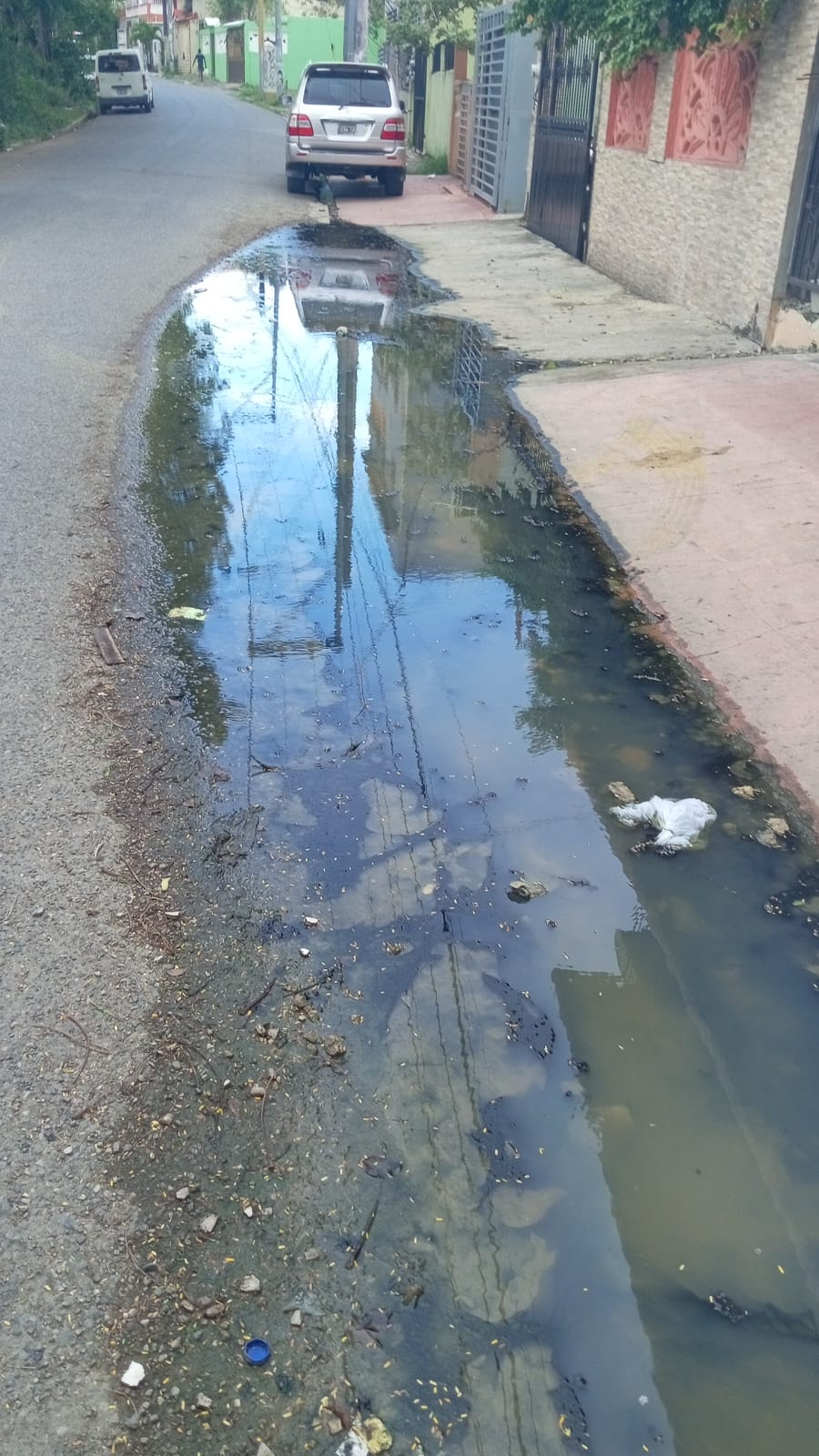 Residentes exigen solución a aguas negras en tramo de la Prolongación Venezuela en Santo Domingo Este