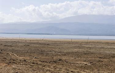 Informe acusan al Estado y a empresa privada de colapso ambiental en la Laguna de Cabral