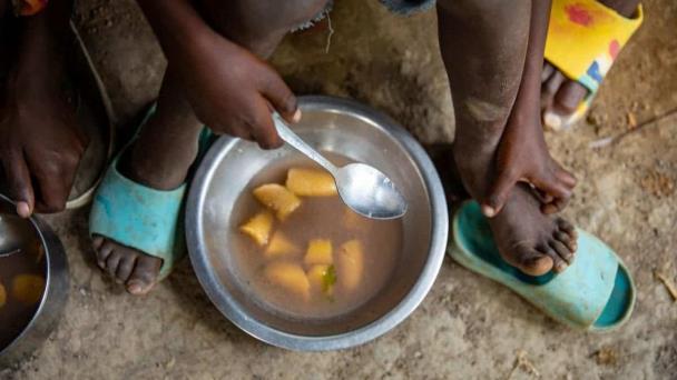 Ecuador se sitúa como tercer país con más hambre en América del Sur, según estudio