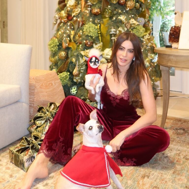 Entre mascotas, tradiciones y momentos reales: así viven las figuras públicas la Navidad en redes