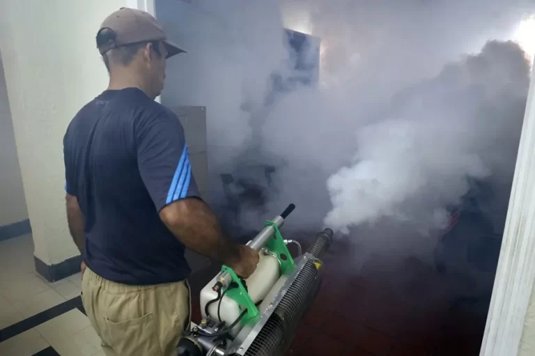Cuba enfrenta epidemia de chikunguña y dengue por escasez