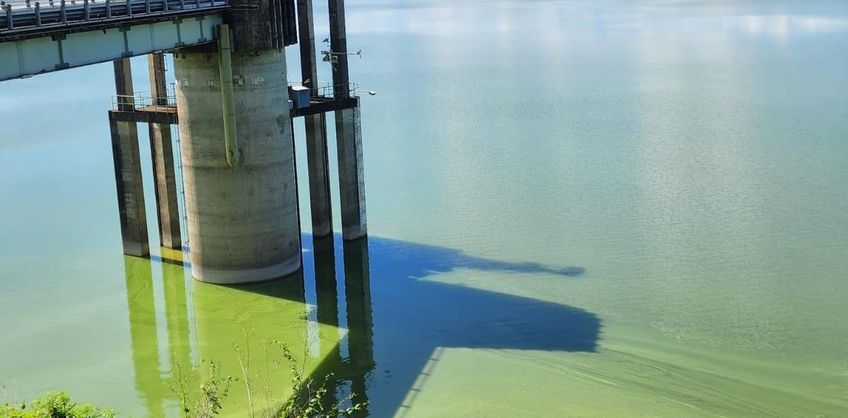 Especialista advierte que cambio de color en la presa de Hatillo es síntoma de deterioro ambiental