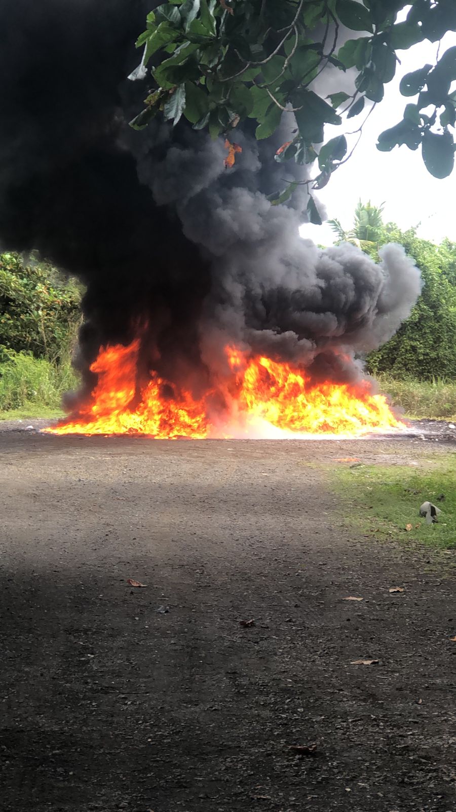 Inacif quema 2 toneladas de drogas en Santo Domingo