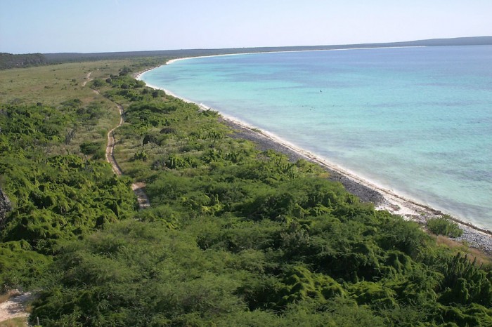 Coalición por los Bosques exige anular fallo que reduce el Parque Nacional Jaragua