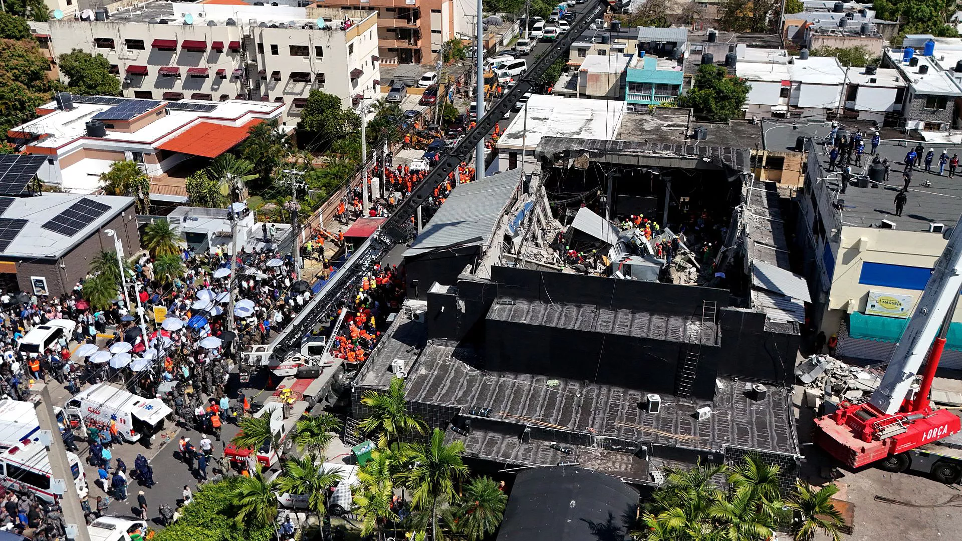 tragedia y su impacto en la sociedad