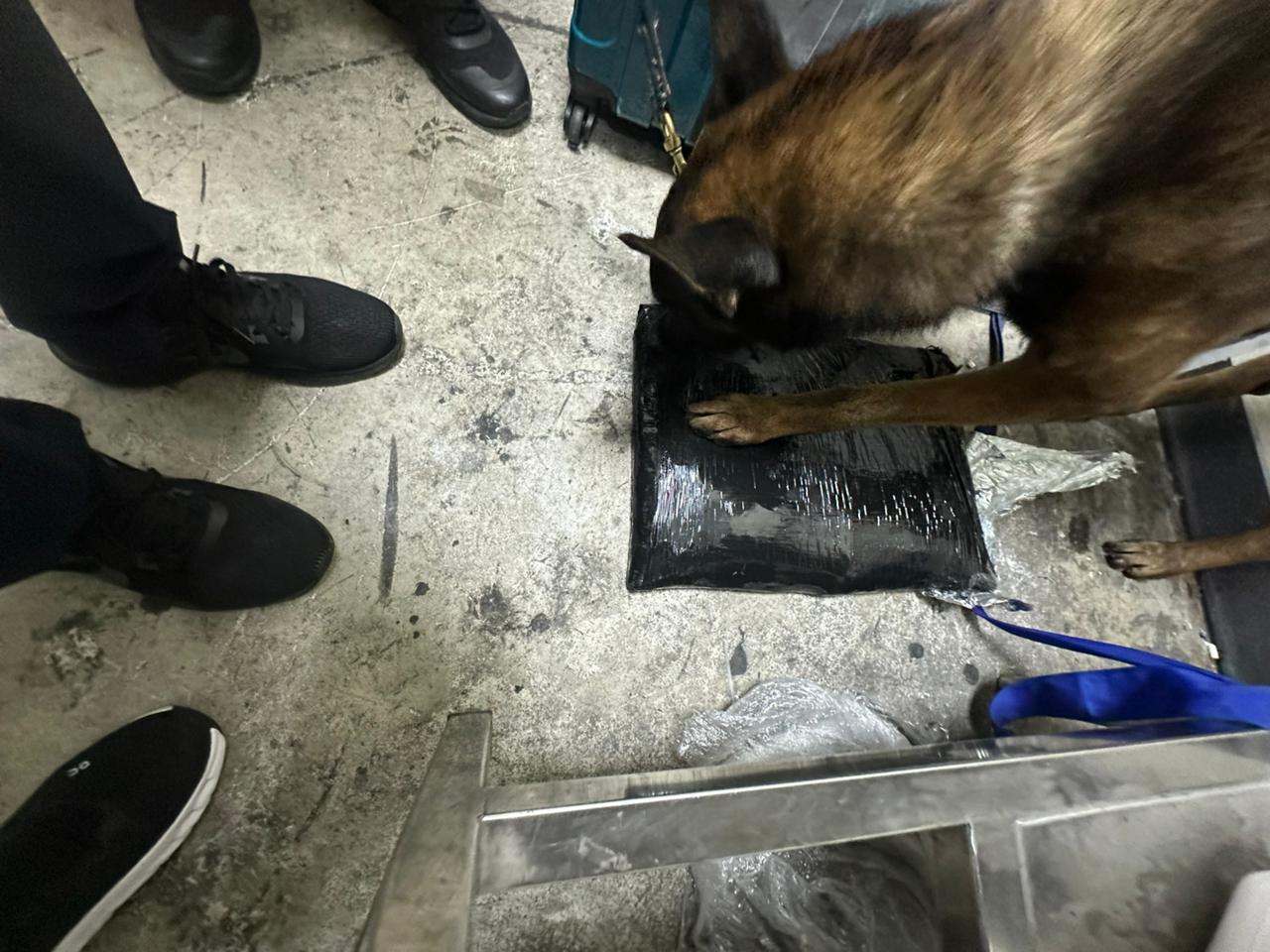 Aprehenden francés con 4 paquetes de cocaína en Punta Cana