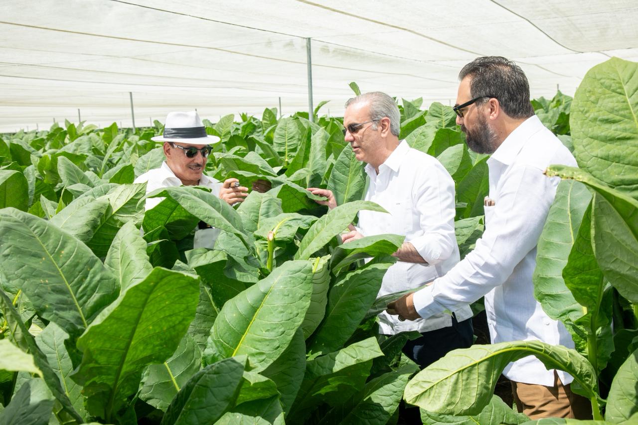 Visita presidencial a finca tabacalera en Monte Plata