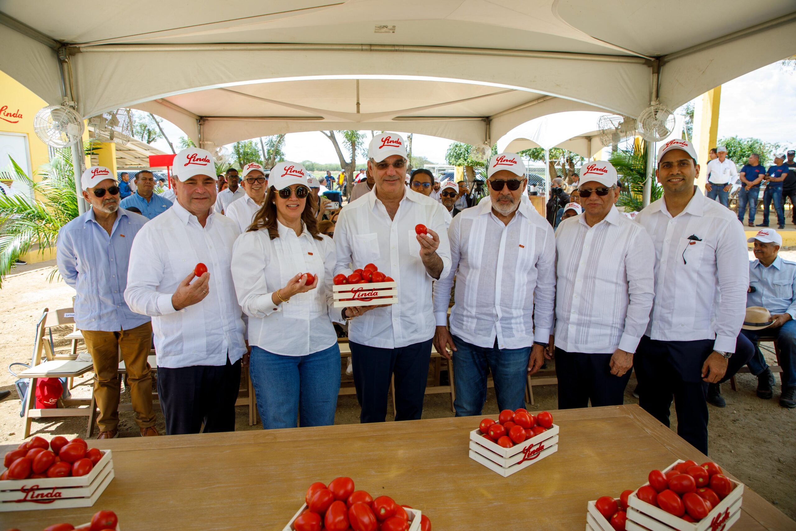 Mecanización agrícola en Guayubín: Impulso a la producción