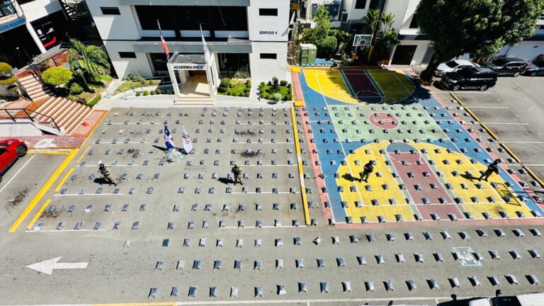 Incautan 1,163 paquetes de marihuana en Puerto Plata