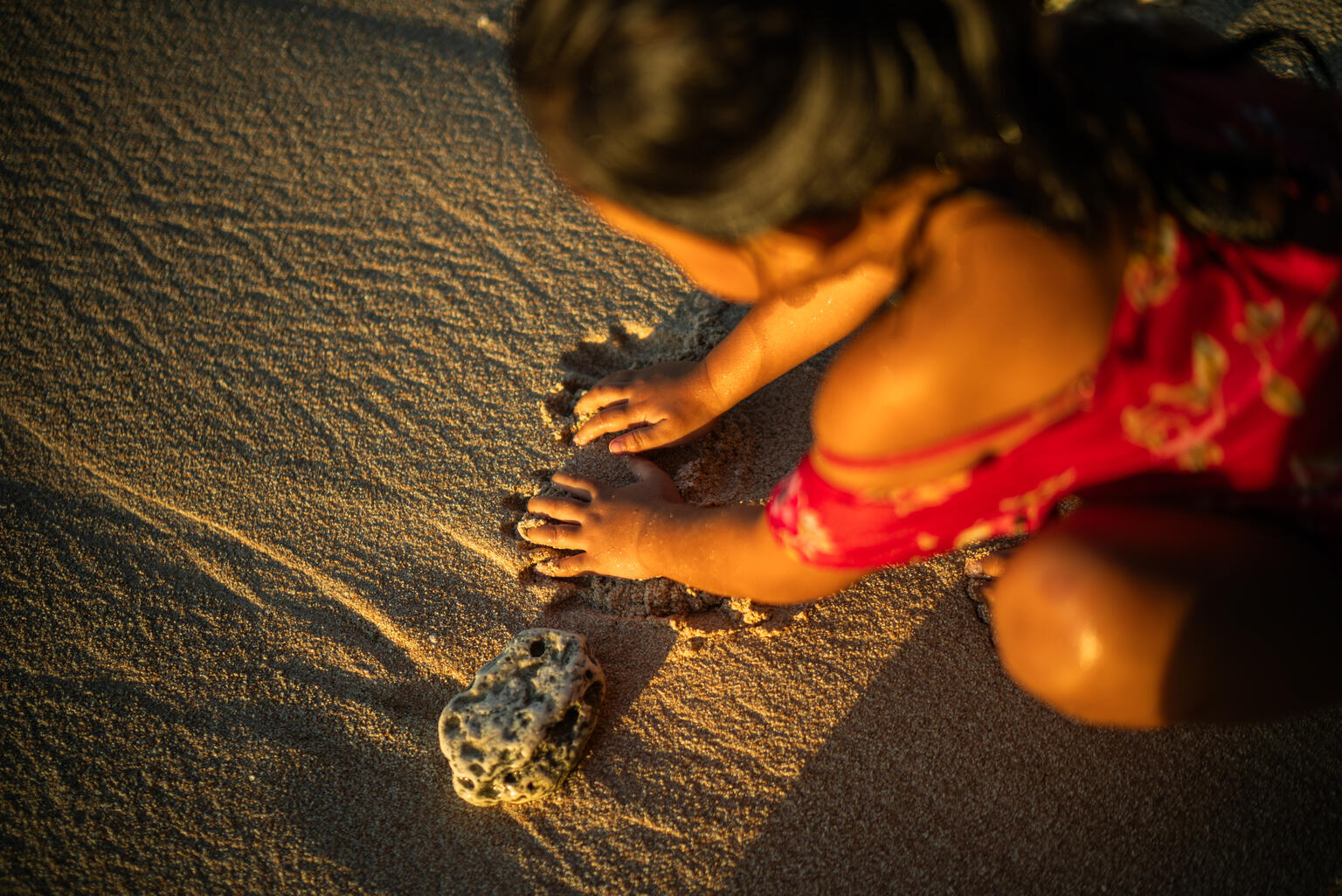 un llamado urgente a la acción