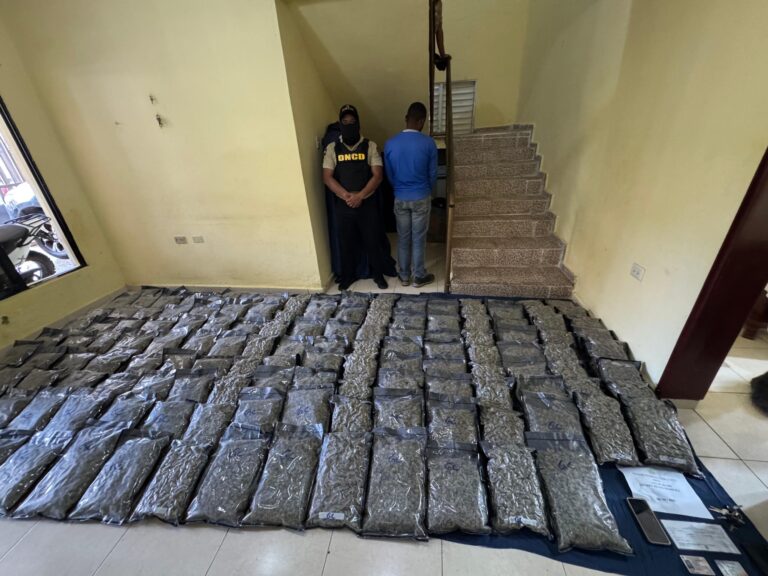 Incautan 151 paquetes de marihuana sintética en Azua
