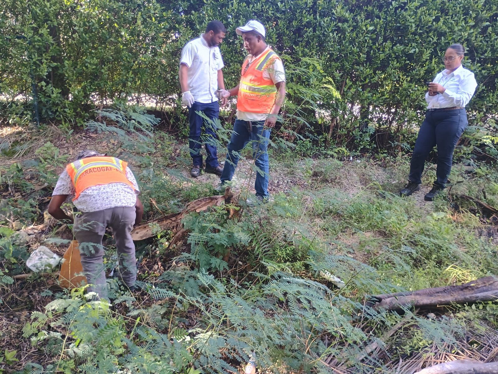 Descubre lo nuevo en entretenimiento dominicano