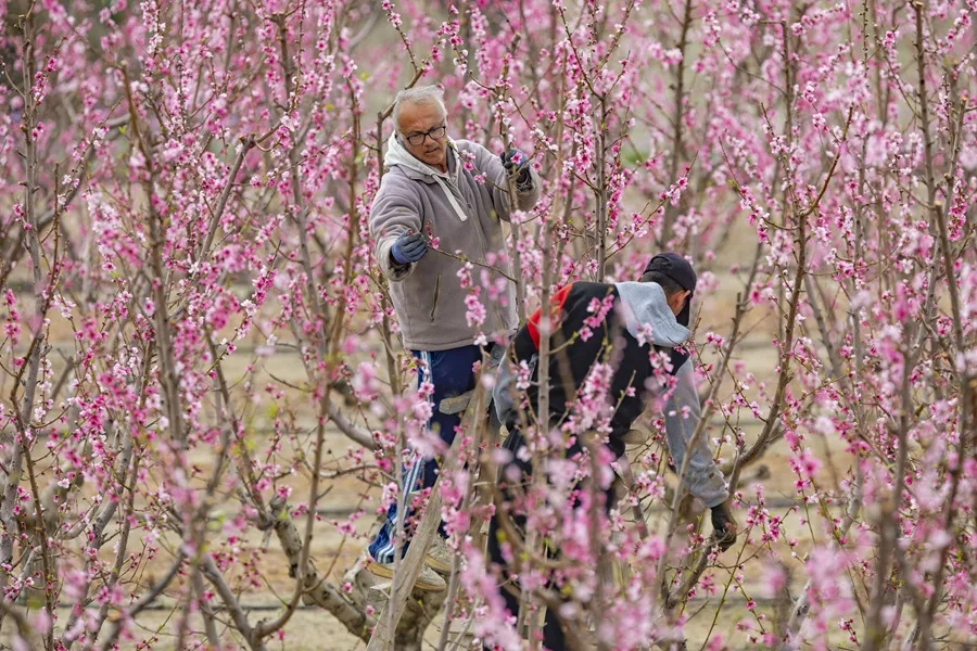 Agricultores que apoyan la regularización: «No encuentro gente que quiera trabajar»