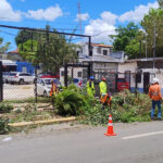 Edesur Dominicana realiza poda y retira escombros