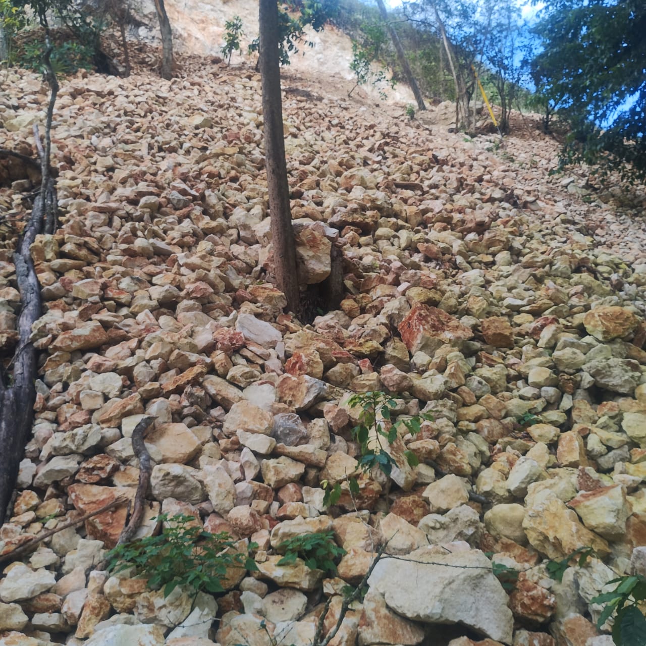 Agricultores de Polo demandan a COGUSA y MOPC
