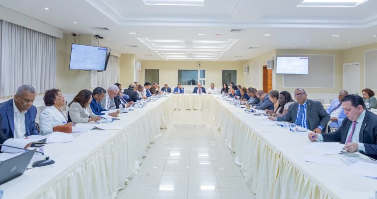 Comisión bicameral inicia análisis del proyecto de ley de crecimiento económico del Gobierno