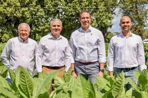 Tabaco dominicano: tercer rubro de exportación del país con más de $1,400 millones proyectados para 2026