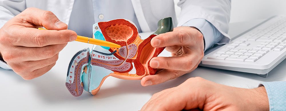 Día Mundial del Cáncer de Próstata: Prevención