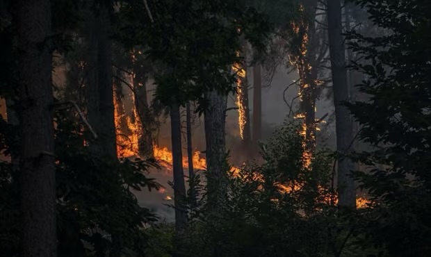 Incendios forestales de España siguen sin control aunque disminuyen avances, obligan a cerrar 47 carreteras y los evacuados aumentan cada día