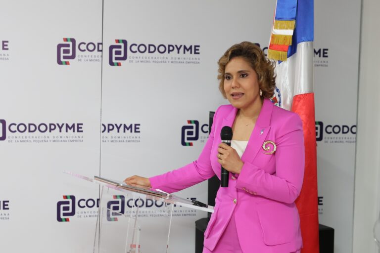Presidenta de ProCompetencia plantea modernizar ley de competencia para enfrentar desafíos de la economía digital