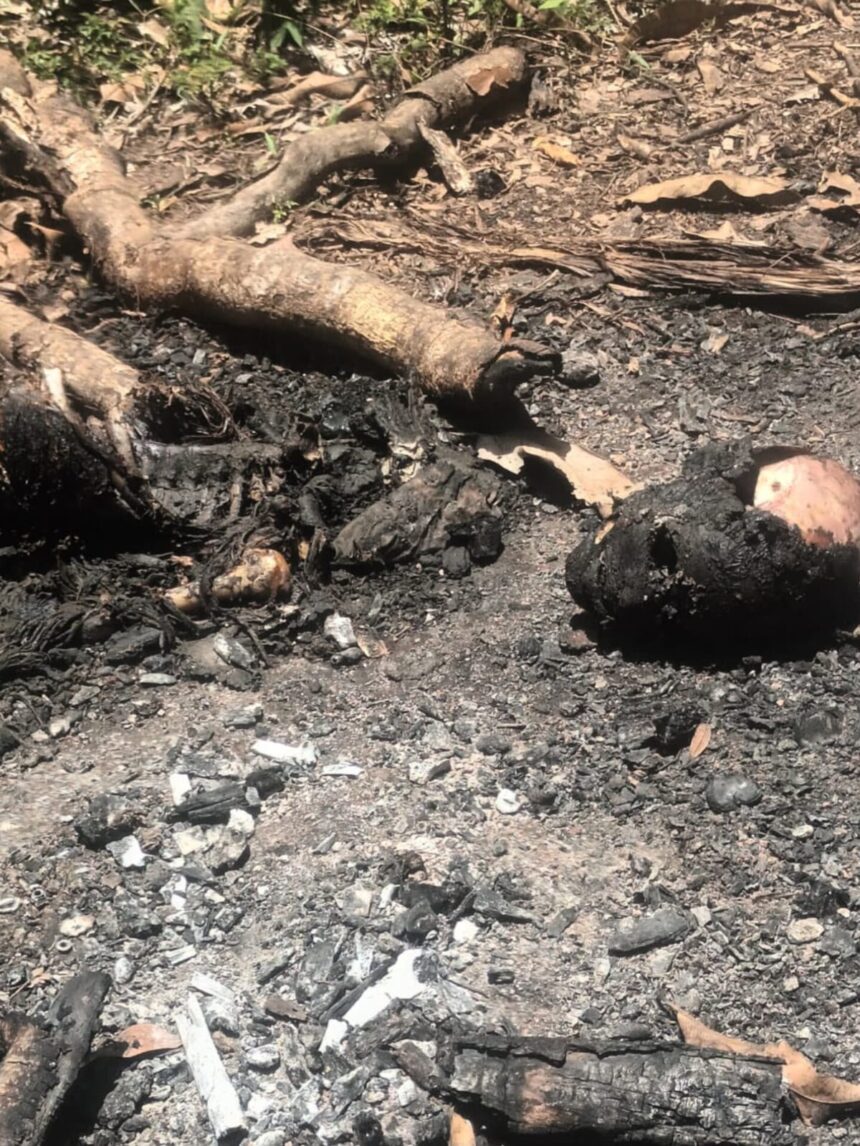 Hallan restos humanos calcinados en Dajabón