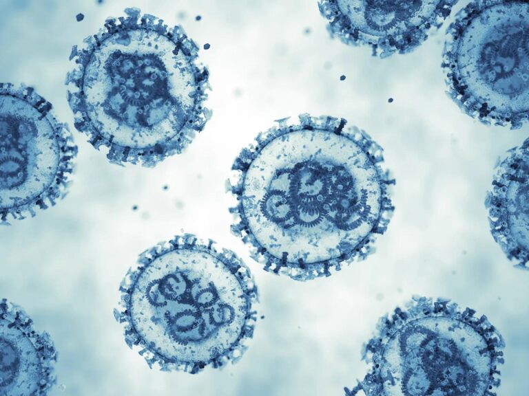 Venezuela confirma tres muertes por hantavirus en Anzoátegui