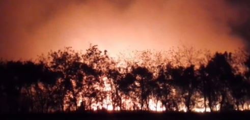 Fuego forestal consume alrededor 4,600 hectáreas y obliga a evacuar más de 10,000 personas