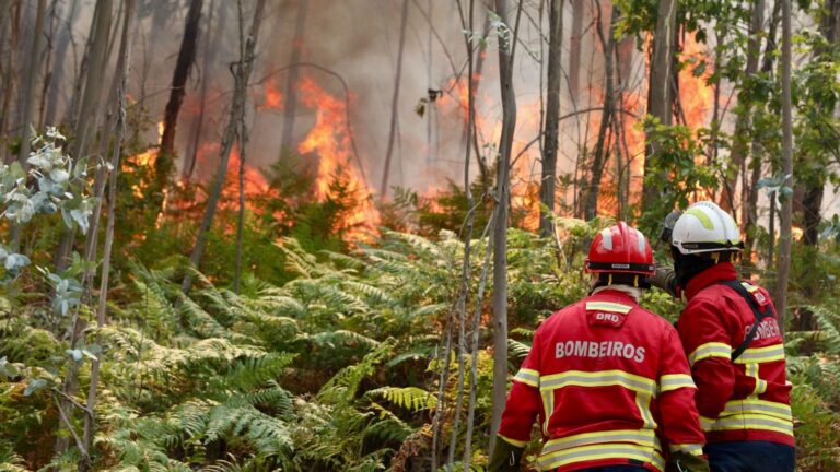 Incendio forestal obliga a evacuar varios municipios en Portugal